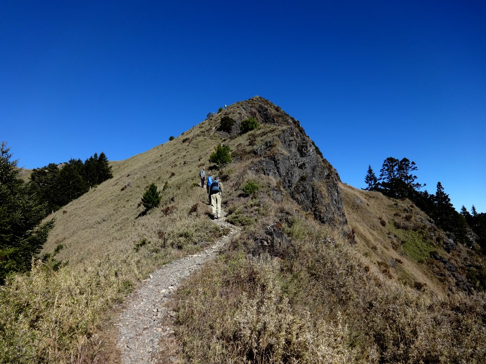 Taoshan 桃山 DSC02544