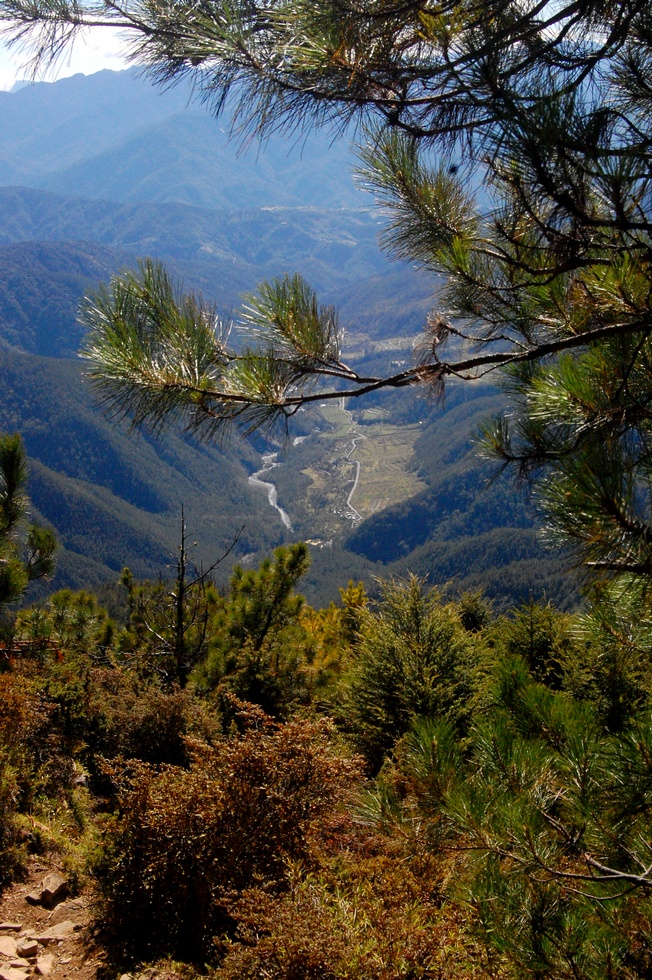 Taoshan 桃山 DSC_6927