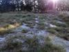 next photo: frost on the ground