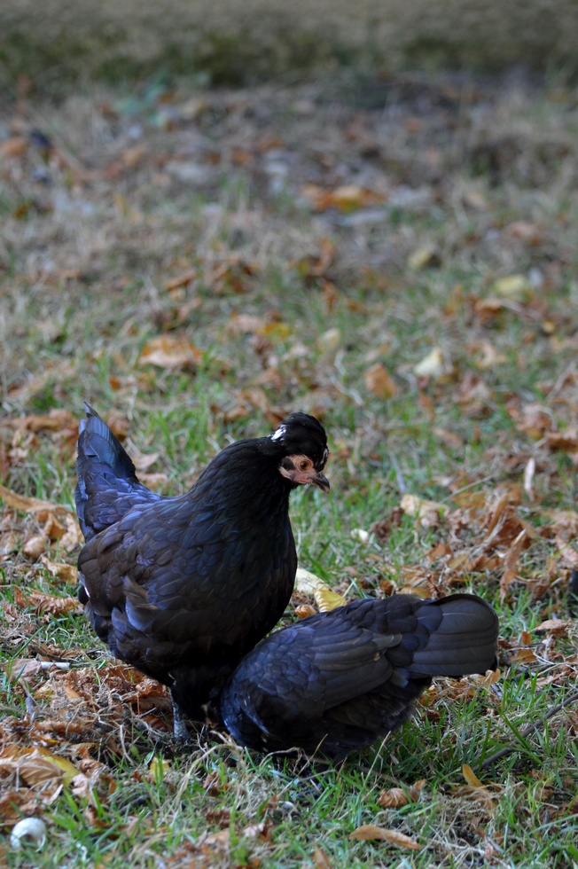 France DSC_0907