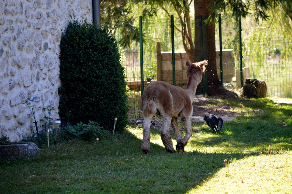 France DSC_0946