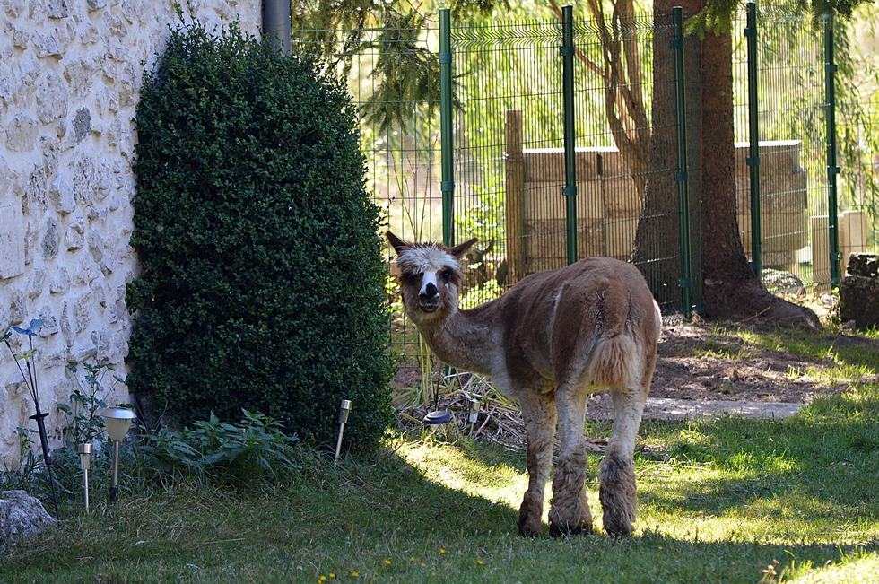 France DSC_0949