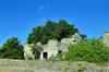 next photo: Homestead ruins