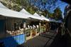 Steet vendors line two sides of the archeological site and medieval forest garden