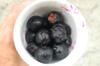 Jambul 閻浮樹 Syzygium cumini