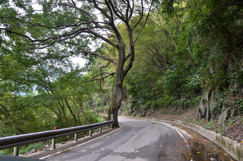 Baling 巴陵 bike ride DSC_9519