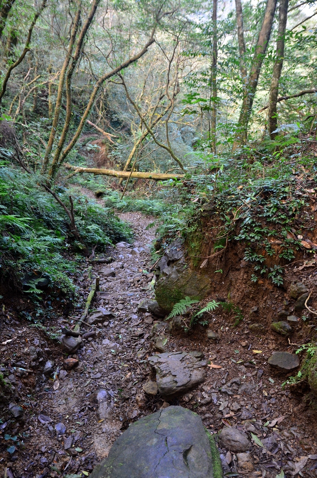 Beichatianshan 北插天山 DSC_7201