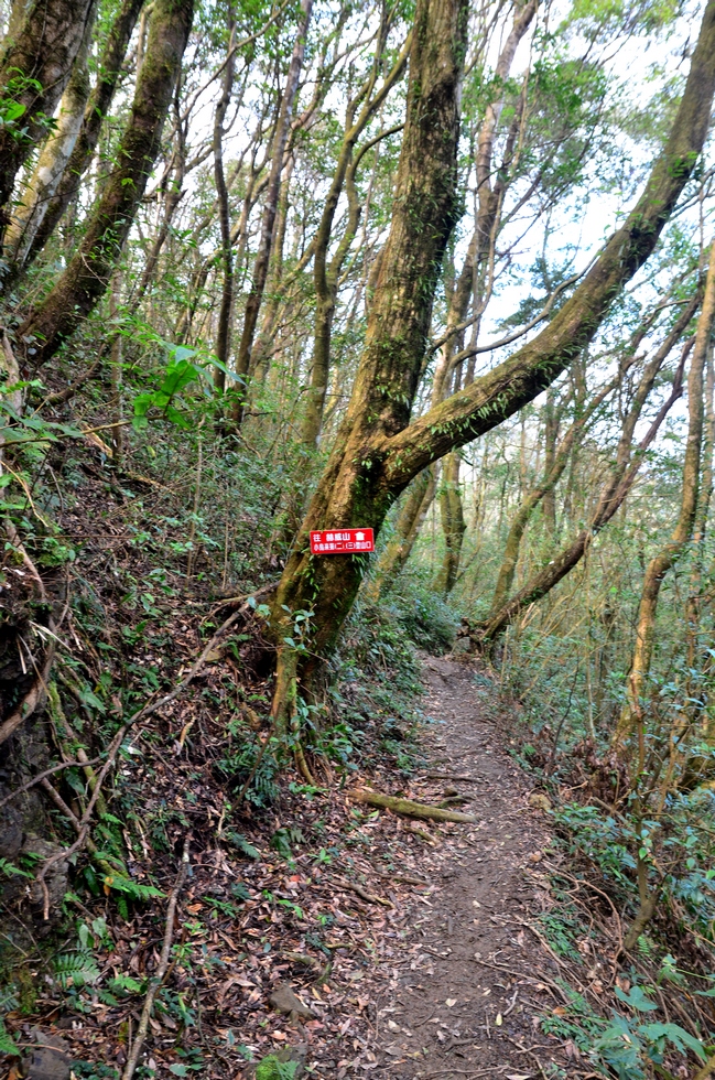 Beichatianshan 北插天山 DSC_7206