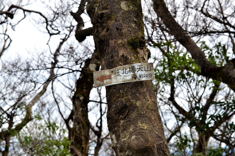 Beichatianshan 北插天山 DSC_7262