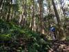 next photo: Walking through the replanted forest