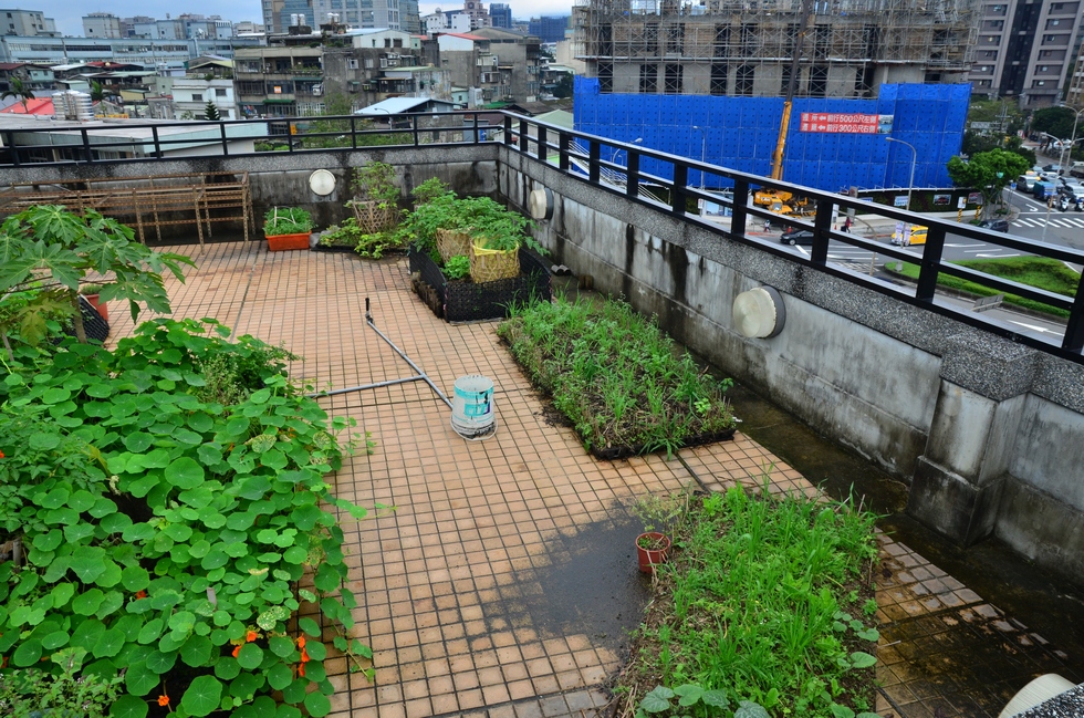 Buluo Daxue Rooftop Garden Before CNY DSC_7353