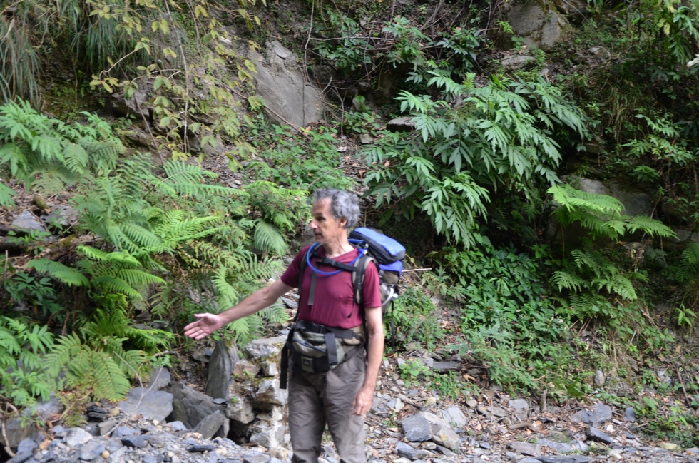 Dabajian mountain 大霸尖山 hike DSC_4308