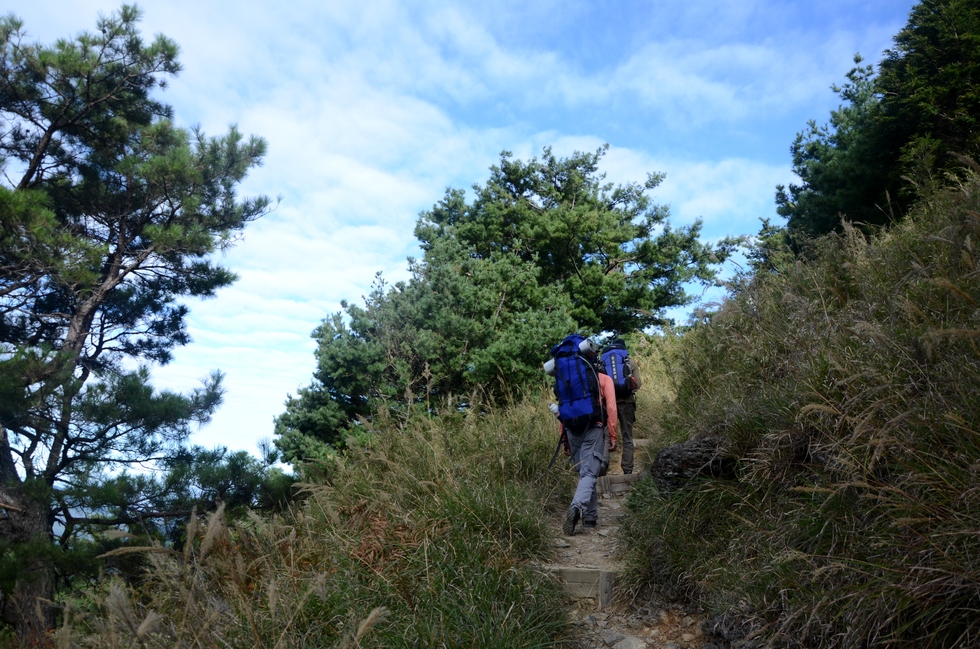 Dabajian mountain 大霸尖山 hike DSC_4330