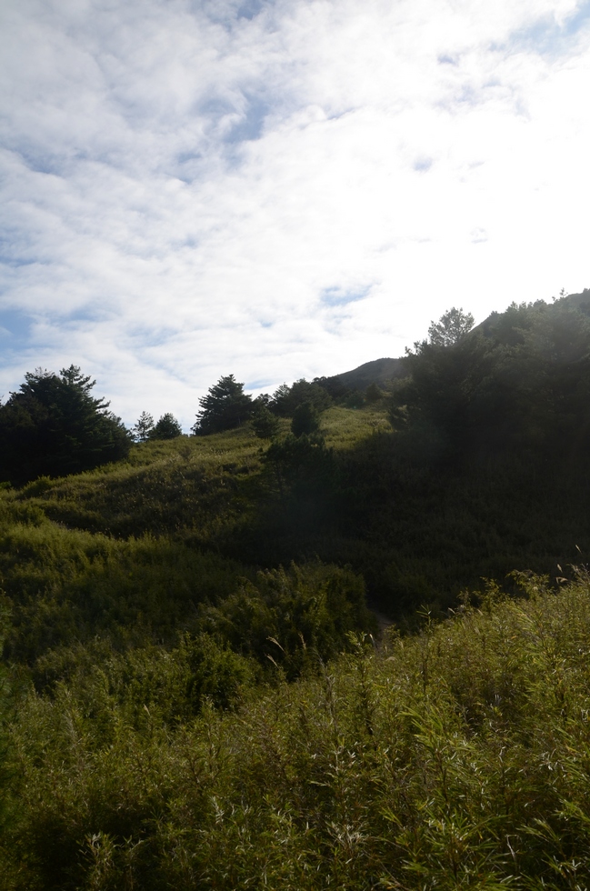 Dabajian mountain 大霸尖山 hike DSC_4333