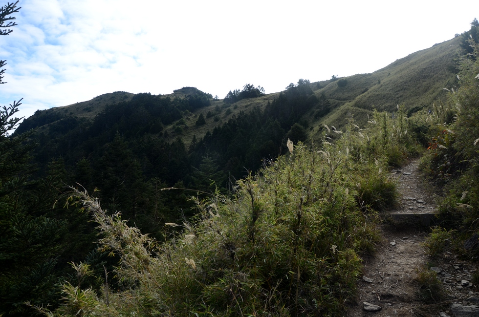 Dabajian mountain 大霸尖山 hike DSC_4336