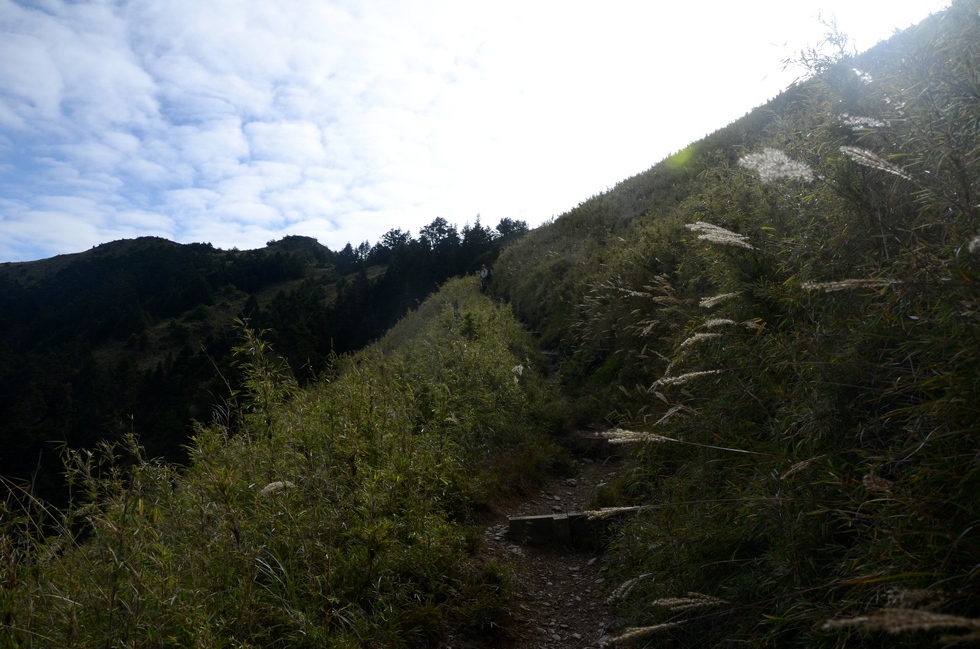 Dabajian mountain 大霸尖山 hike DSC_4337