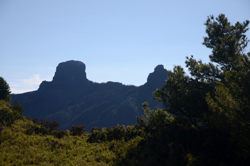 Dabajian mountain 大霸尖山 hike DSC_4345