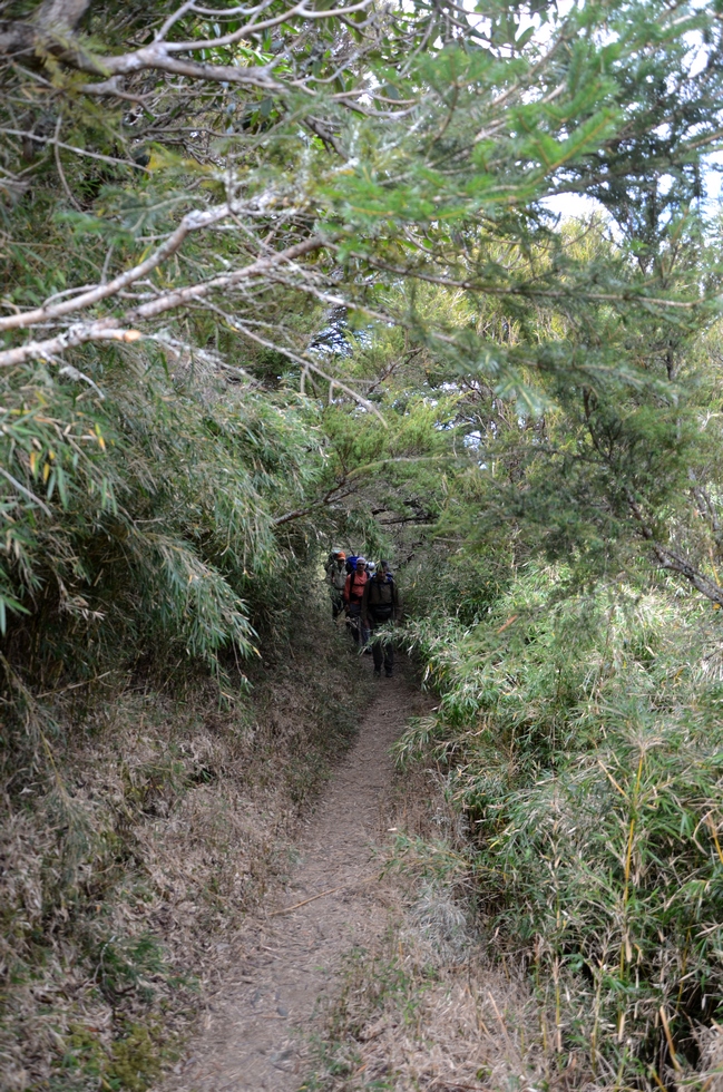 Dabajian mountain 大霸尖山 hike DSC_4353