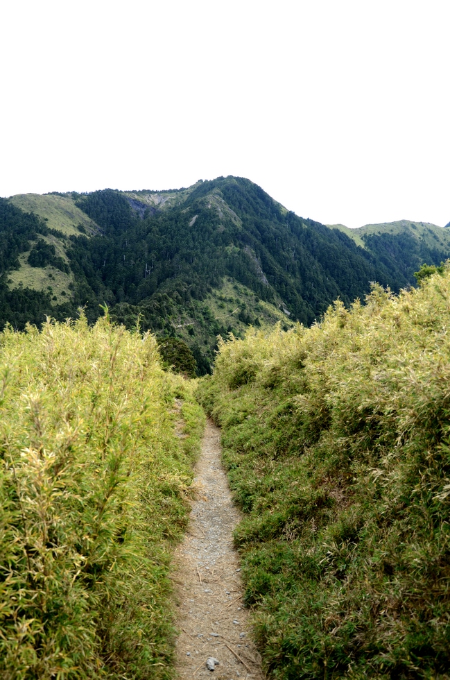 Dabajian mountain 大霸尖山 hike DSC_4362