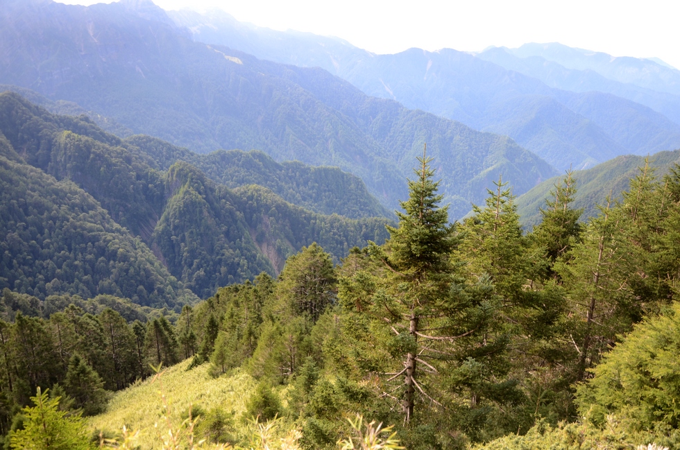 Dabajian mountain 大霸尖山 hike DSC_4376