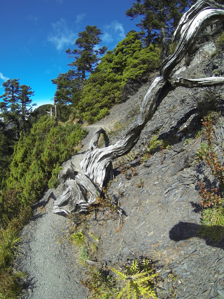 Dabajian mountain 大霸尖山 hike GOPR1868