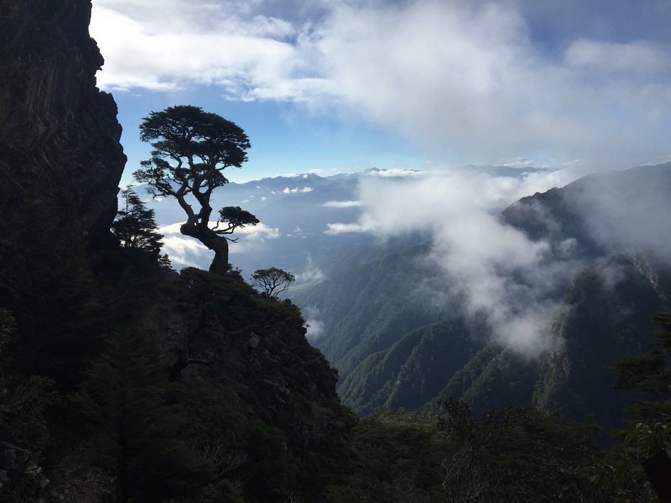 Dabajian mountain 大霸尖山 hike IMG_2166