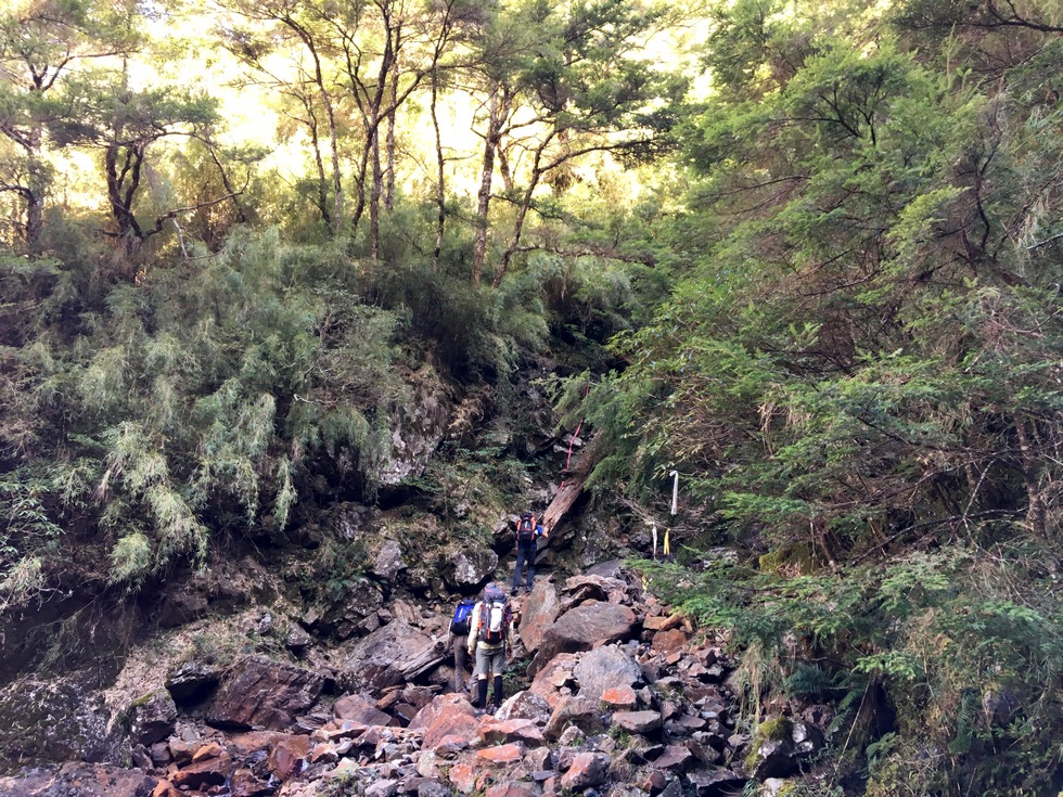 Dabajian mountain 大霸尖山 hike IMG_3098