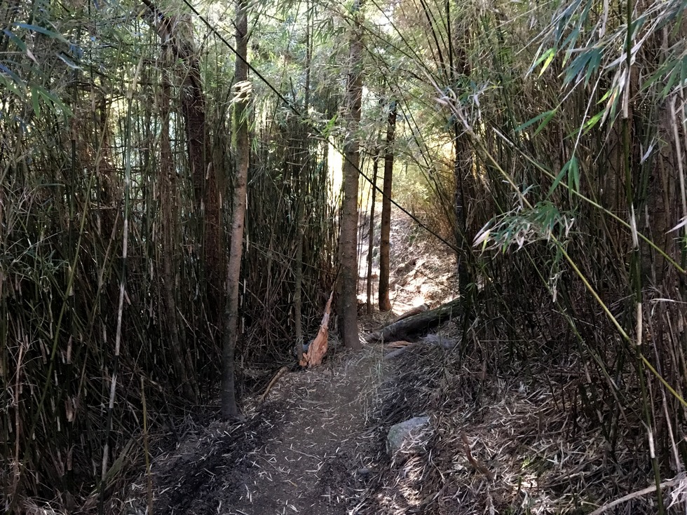 Dabajian mountain 大霸尖山 hike IMG_3130