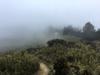 next photo: 新達山屋 Xinda Hut in the fog