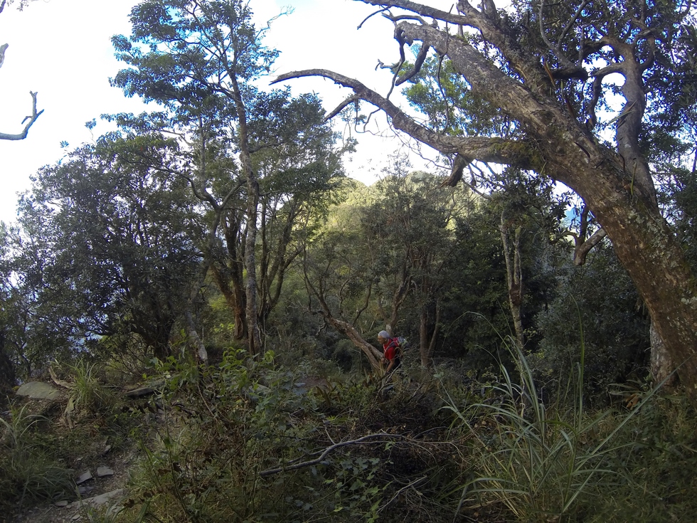 Beidawu Mountain 北大武山 GOPR1919