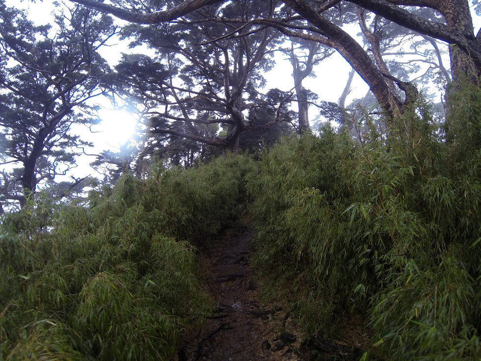 Beidawu Mountain 北大武山 GOPR1943