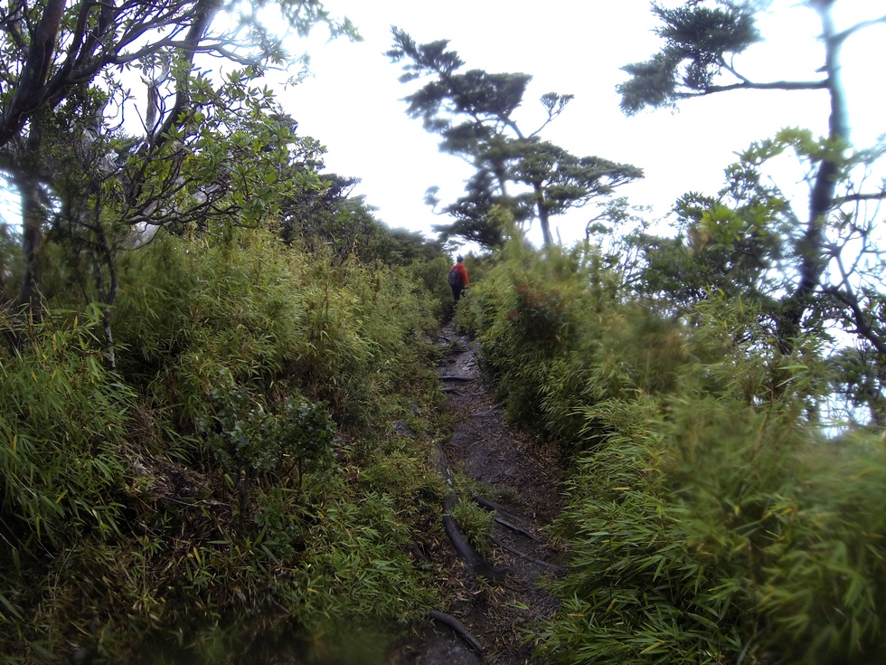 Beidawu Mountain 北大武山 GOPR2014