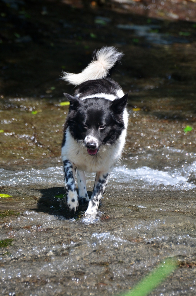 February DSC_7449