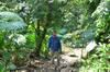 next photo: Philip starts work on the stairs in the garden