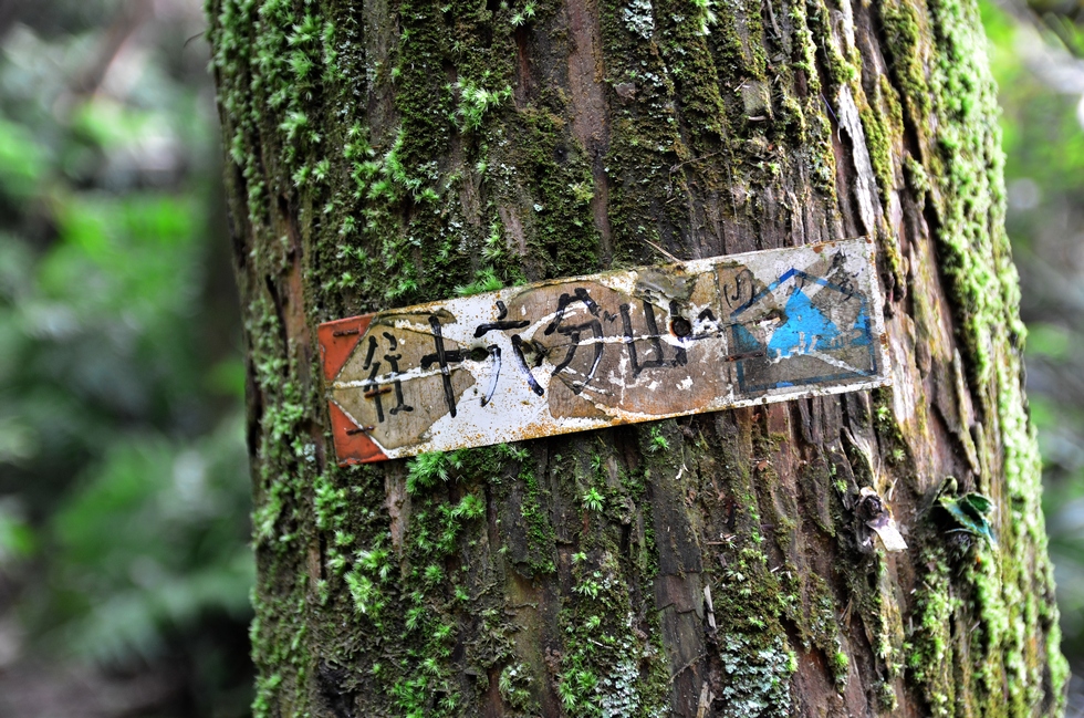 Maokong Zhanghu trail 木柵貓空樟湖步道 DSC_9715