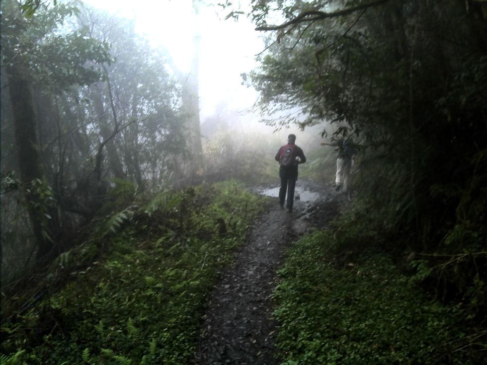 Siji Forest Road 四季林道 DSC00020