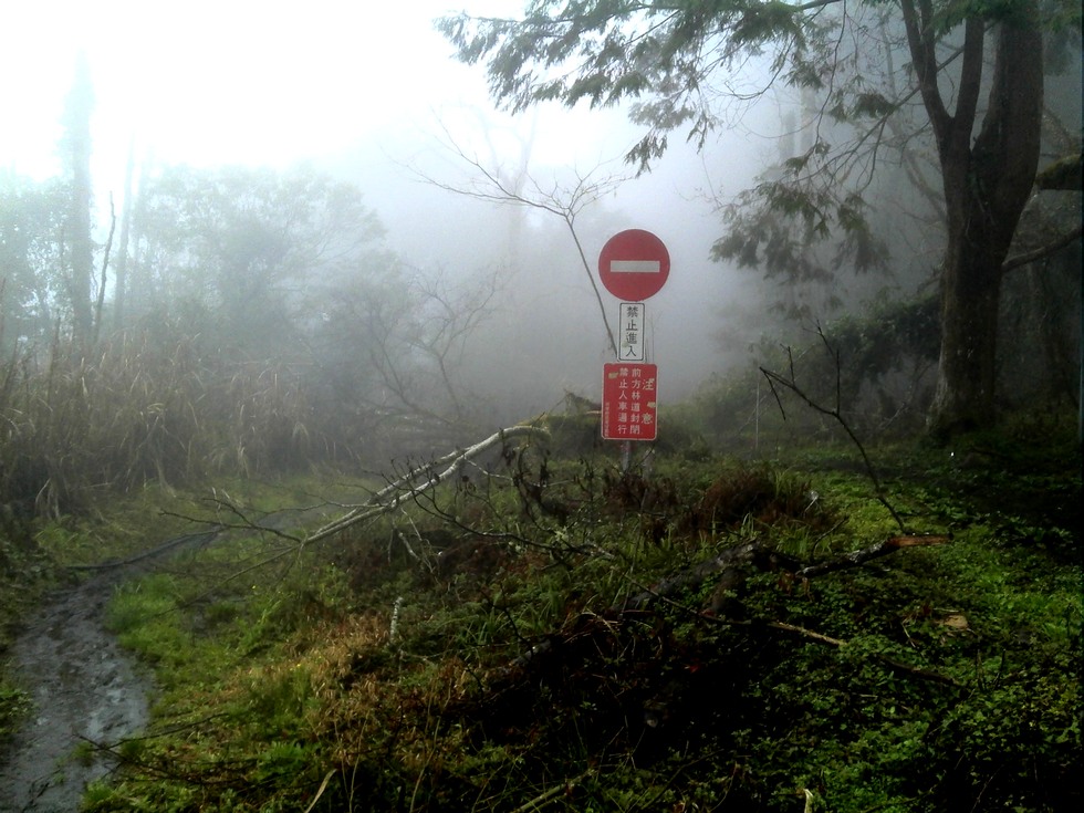 Siji Forest Road 四季林道 DSC00026