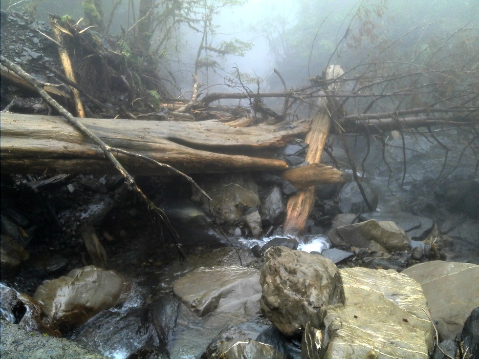 Siji Forest Road 四季林道 DSC00032