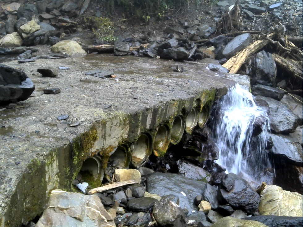 Siji Forest Road 四季林道 DSC00035