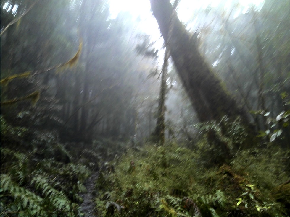 Siji Forest Road 四季林道 DSC00047