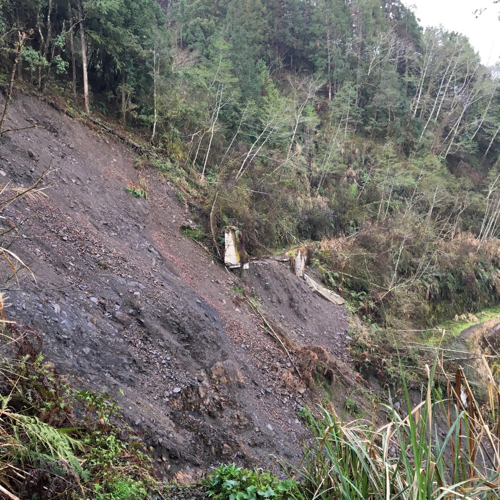 Siji Forest Road 四季林道 IMG_2156