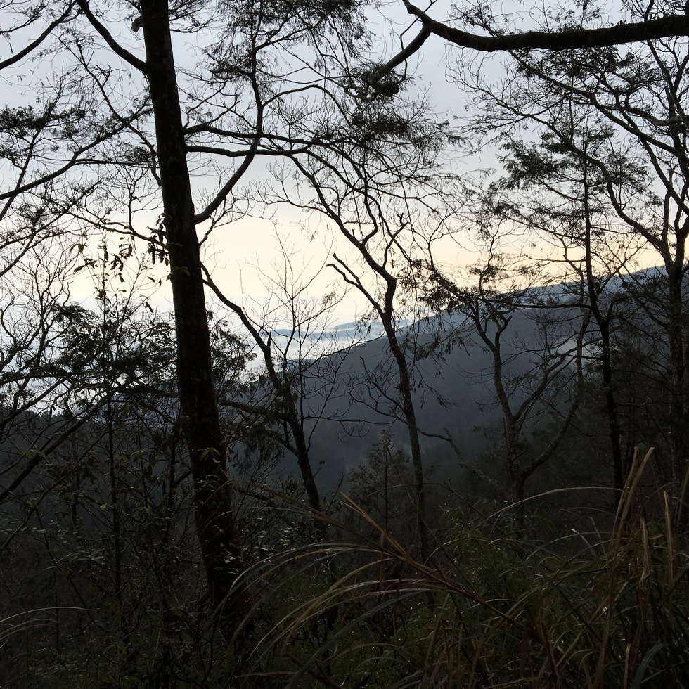 Siji Forest Road 四季林道 IMG_2175