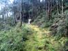 mossy muddy rainy trail