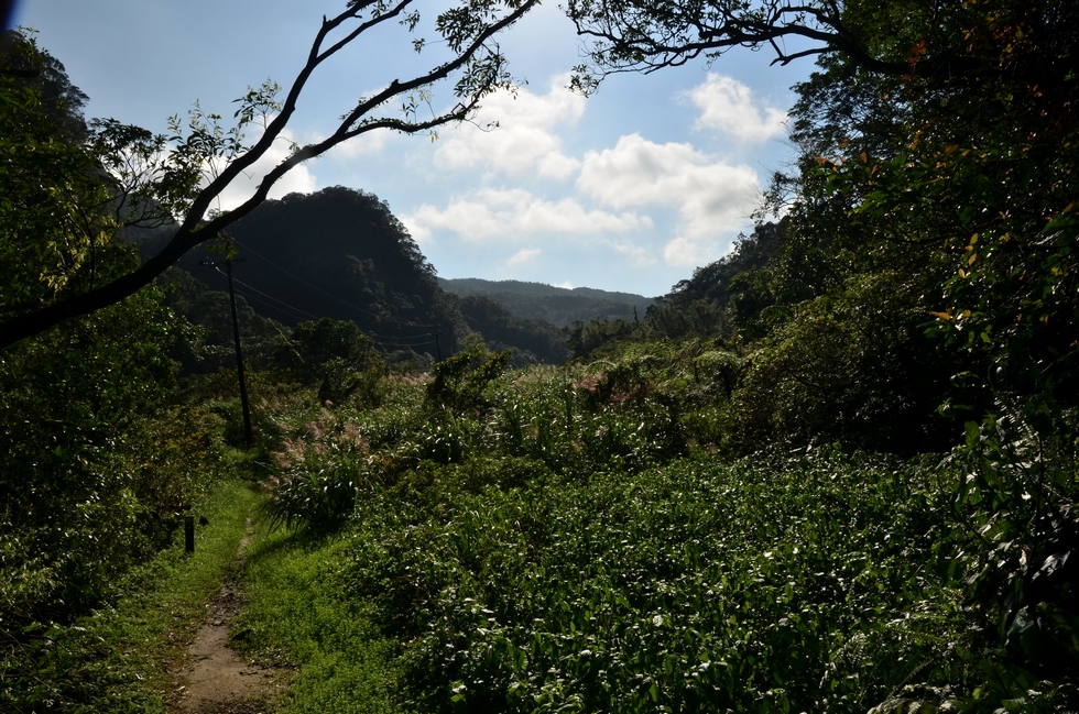 Wantan trail 灣潭古道 explore DSC_9357