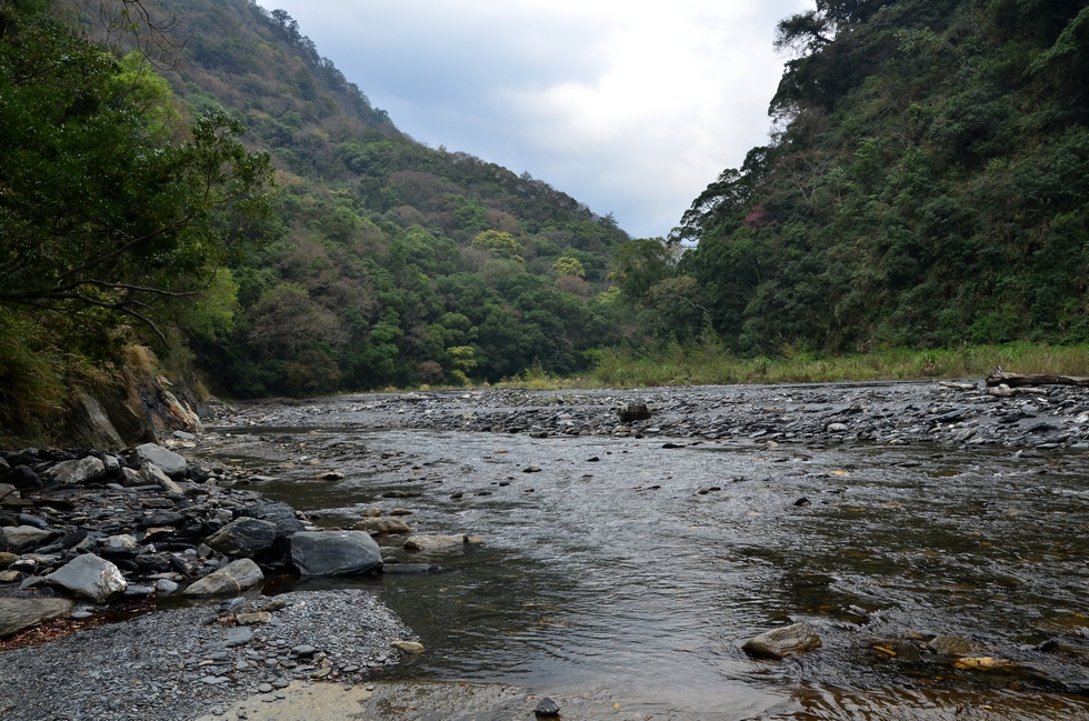 Daluowan stream 塔羅灣溪 DSC_0161