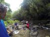 picnic in the stream