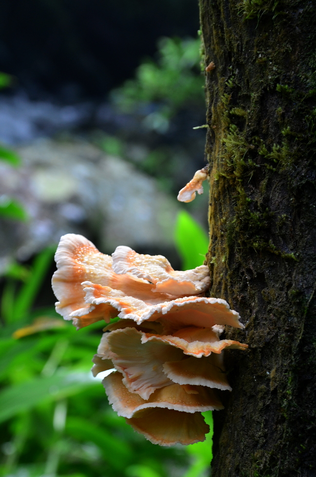 July DSC_0535