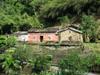 Traditional Taiwanese farmhouse