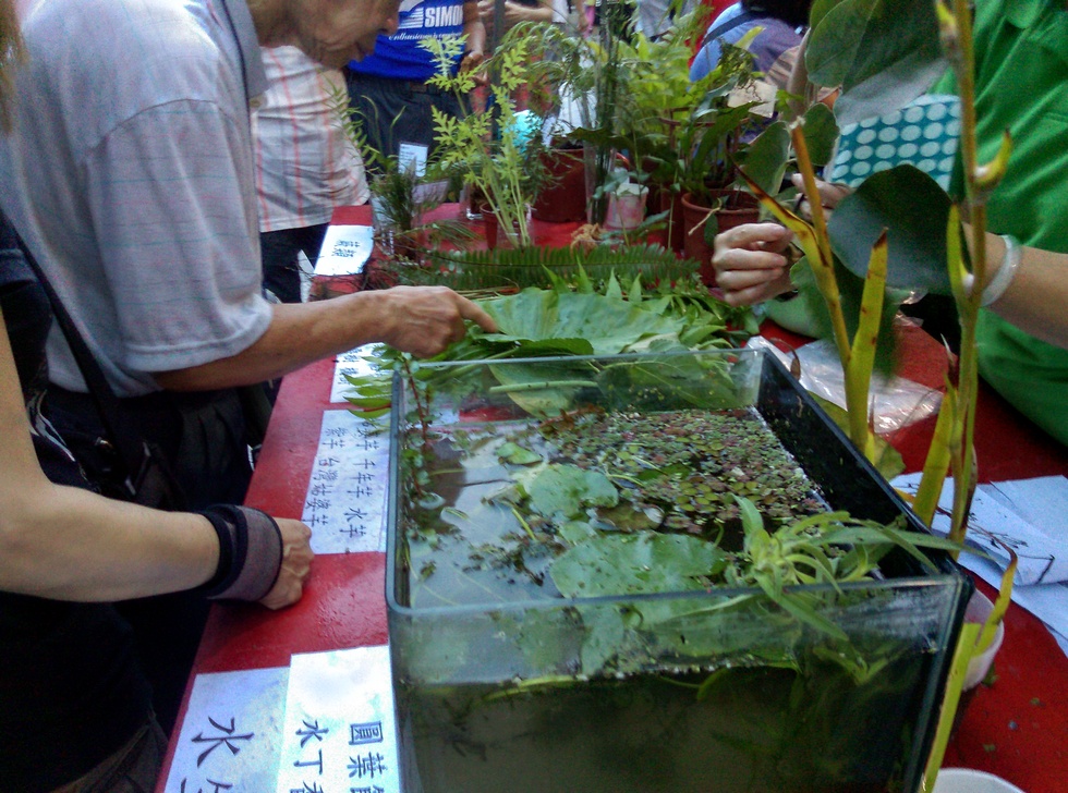 Yonghe Farm 永和社大教學實驗農場 IMAG0066