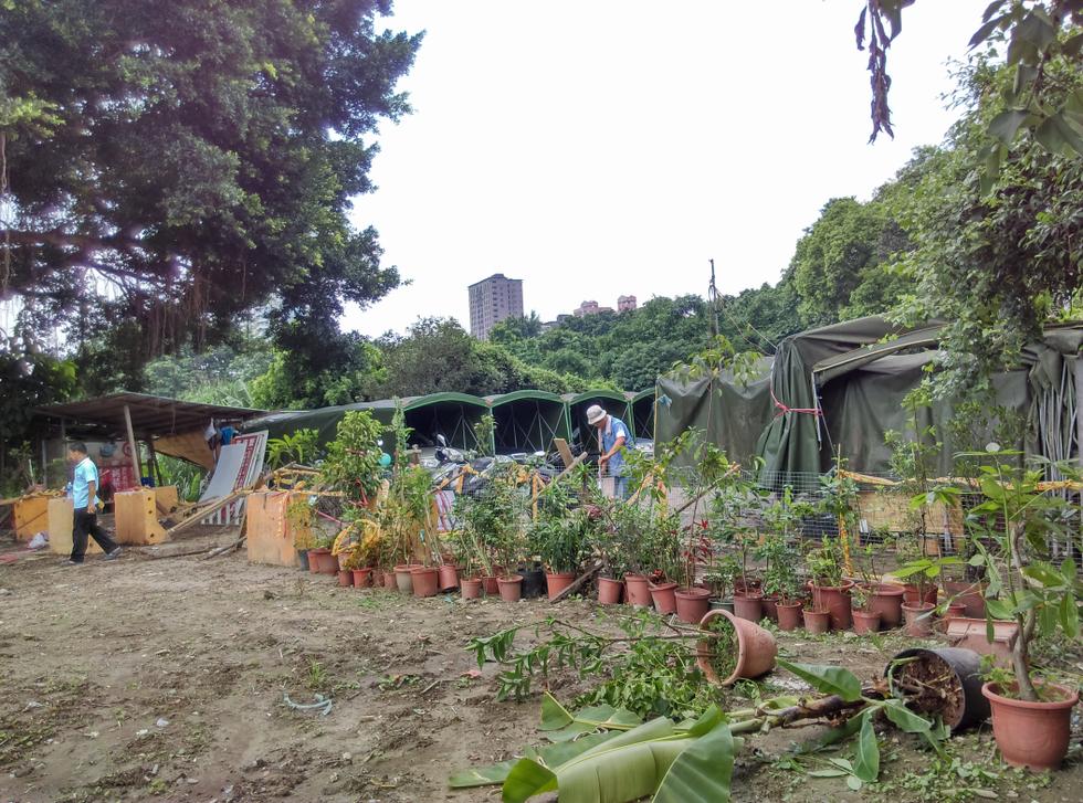 Yonghe Farm 永和社大教學實驗農場 IMAG0115